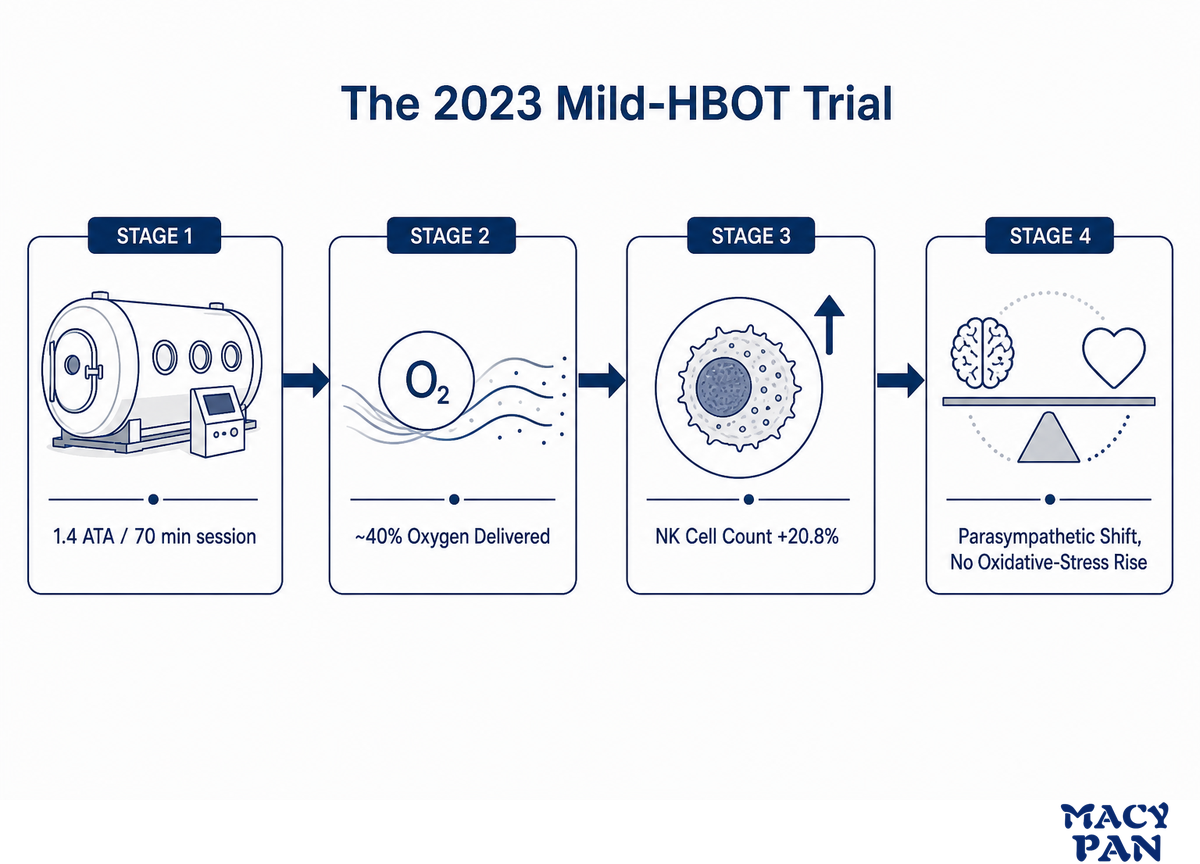The Evidence: What Mild HBOT Actually Does for Recovery — MACY-PAN