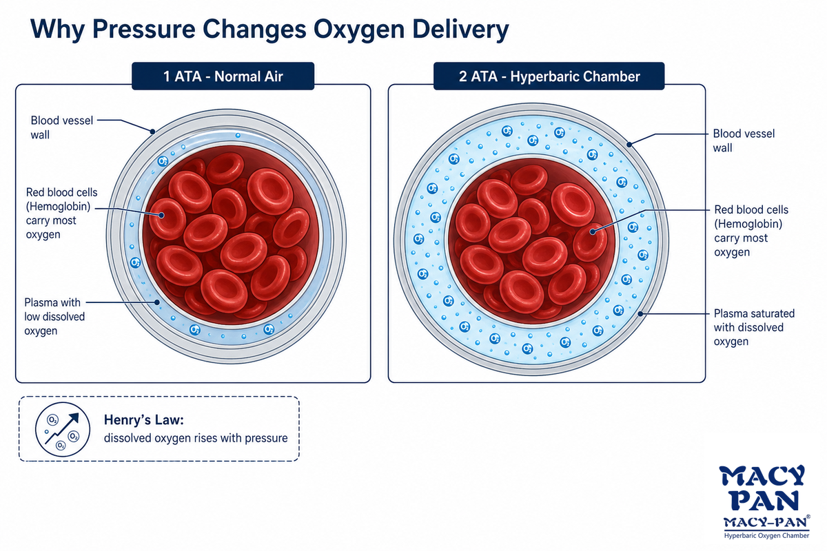 How Hyperbaric Oxygen Therapy Is Thought to Slow Aging — MACY-PAN