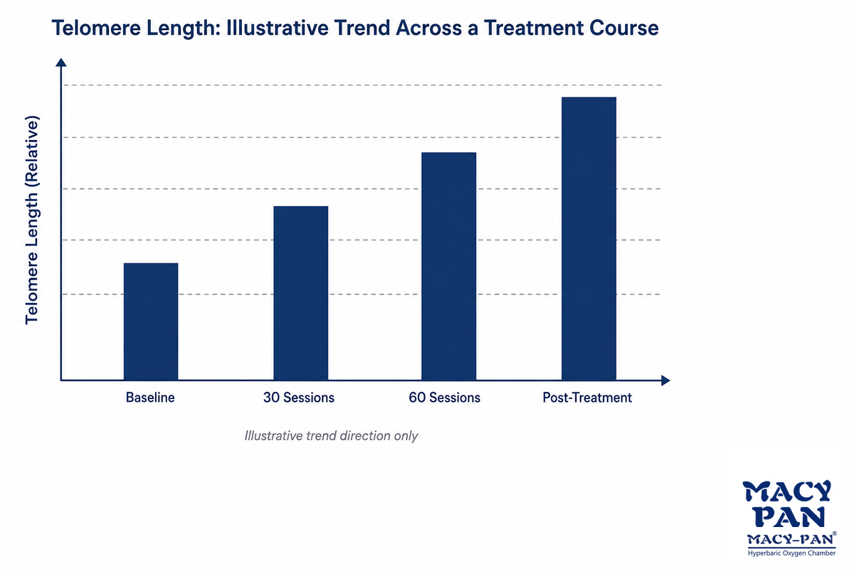 The Cellular Evidence: Senescent Cells and Telomere Length — MACY-PAN