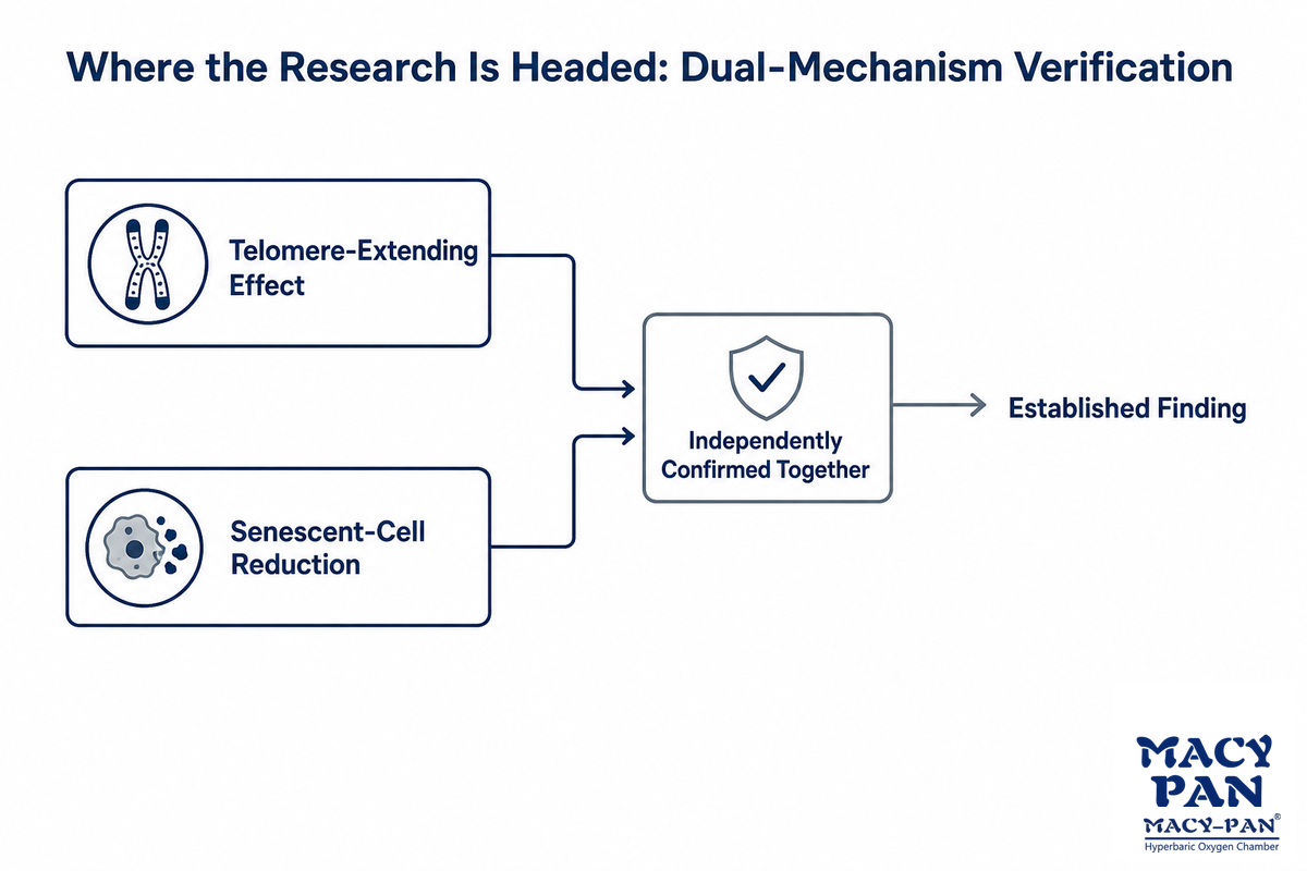 Industry Outlook: Where the Research Is Headed — MACY-PAN